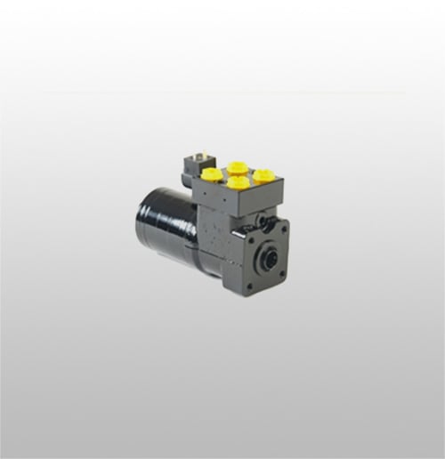 Direksiyon Beyinleri